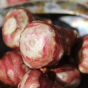 Topinambur Topinambur